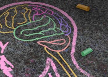 PWID – People with Intellectual Disabilities and COVID-19