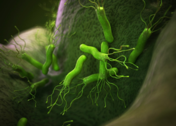 The Helicobacter pylori revolution