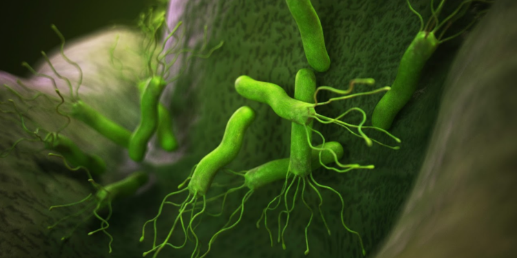 The Helicobacter pylori revolution