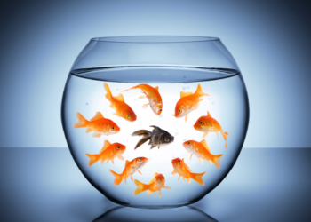 Prescriptions and prejudices: Pharmacy students’ experiences of racism