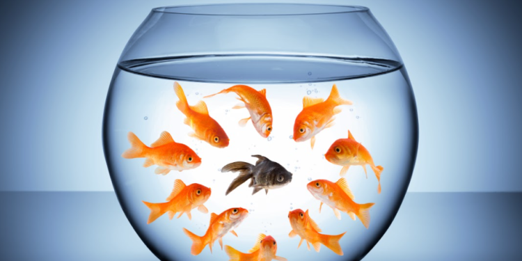 Prescriptions and prejudices: Pharmacy students’ experiences of racism