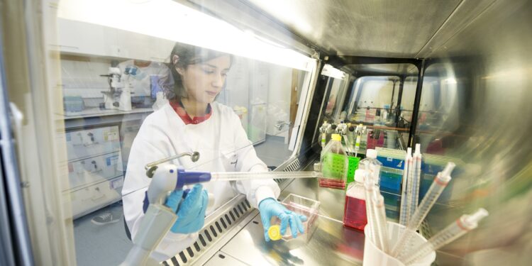 CÚRAM and B. Braun embark on two ground-breaking projects in wound pain and healing