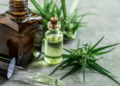 Growth of CBD Pharmacy Market