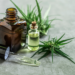 Growth of CBD Pharmacy Market