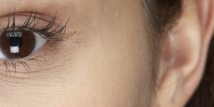 Category Focus on Eyes and Ears