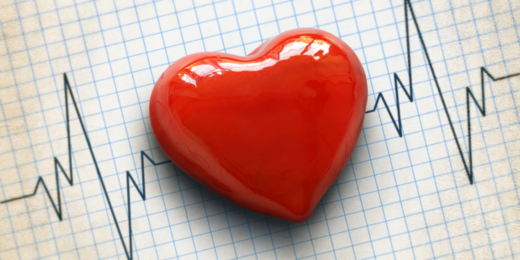 Heart Disease: Not Just for Men