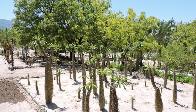 Pierre Fabre, the parent company of Avène & Klorane in Ireland, launches the Green Impact Index