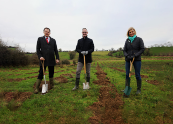 Boots Ireland to plant 15,000 native woodland trees in celebration of 25 years in Ireland
