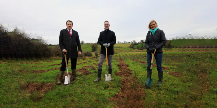 Boots Ireland to plant 15,000 native woodland trees in celebration of 25 years in Ireland