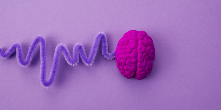 A New Study on Epilepsy