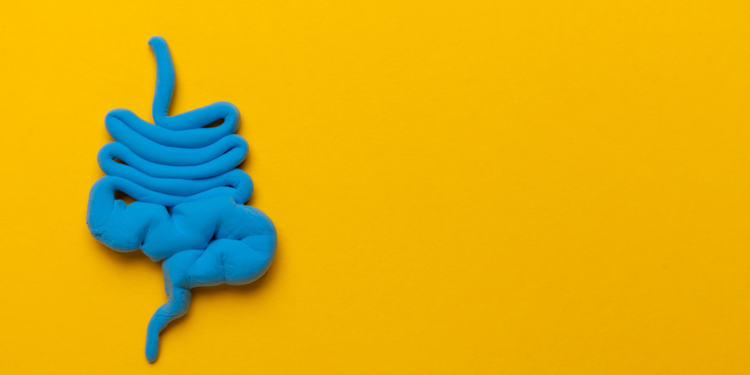 Gastroenterologist warns of “rapid increase” in Inflammatory Bowel Disease in Ireland as patient waiting lists soar