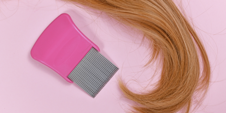 The Common Issue of Head Lice