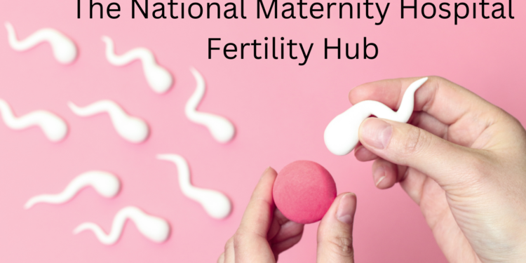 The National Maternity Hospital Fertility Hub