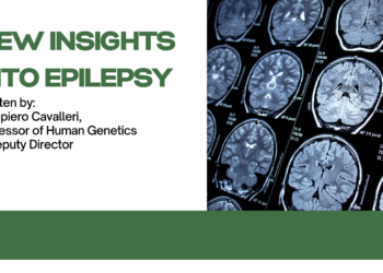 New Insights into Epilepsy